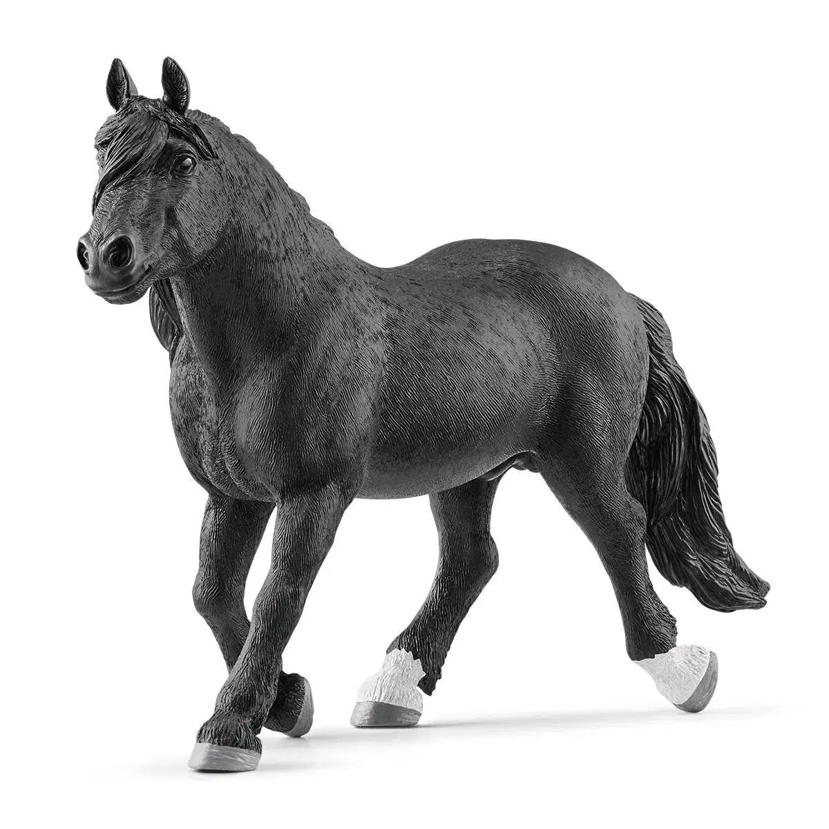 Sturdy Black Noriker Stallion - Ideal Mountain Horse