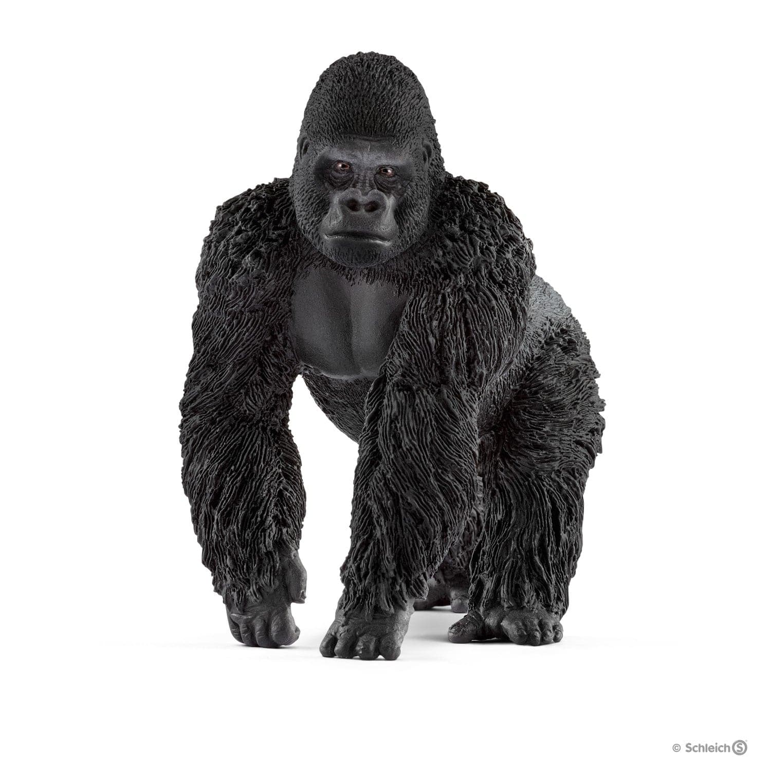 Male Gorilla: The Powerful Knuckle - Walker