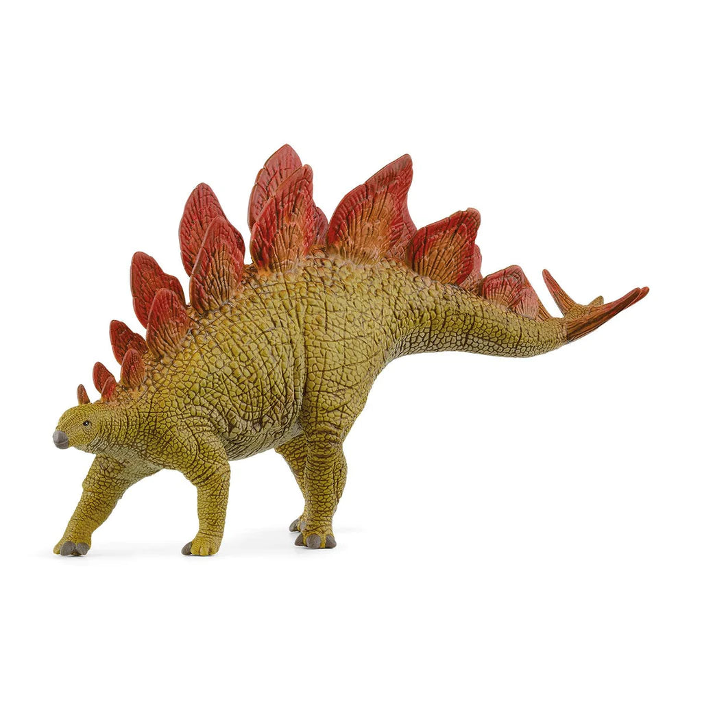 The Enormous Stegosaurus - A Prehistoric Herbivore