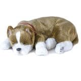 Super Soft and Realistic Perfect Petzzz Pit Bull Toy Bundle
