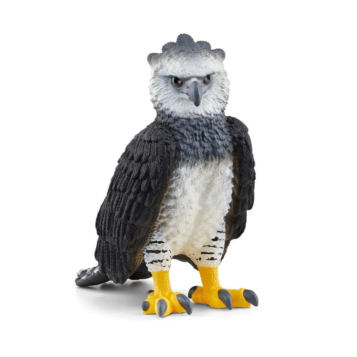Powerful Harpy Eagle: A Majestic Predator of South American Rainforests