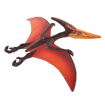 Flying Creature - Pteranodon from Cretaceous Period
