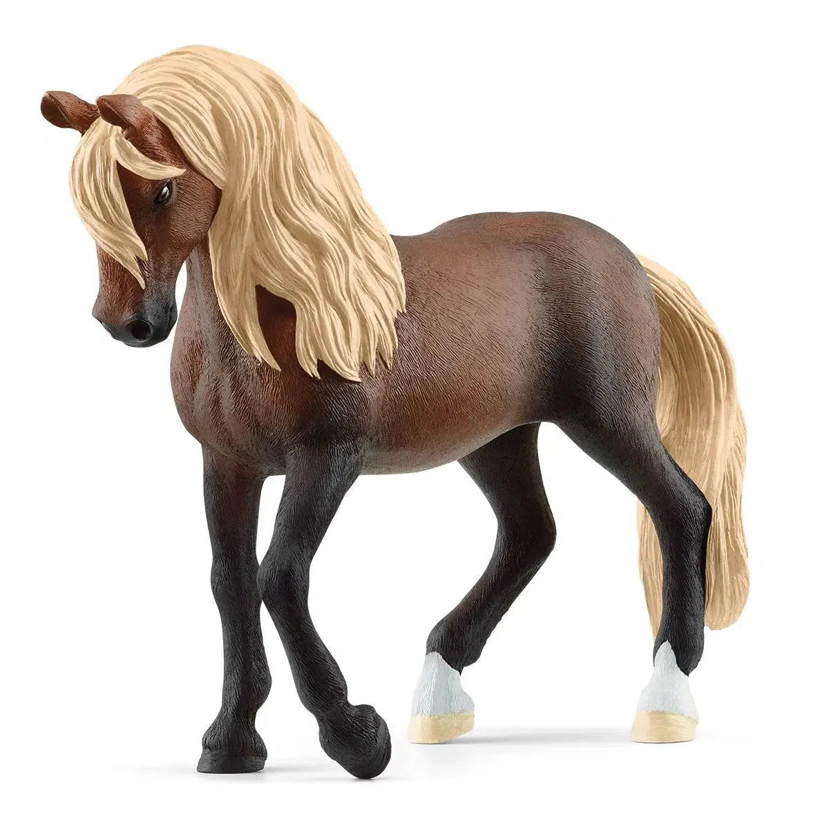 Stunning Peruvian Paso Stallion with Elegant Gait