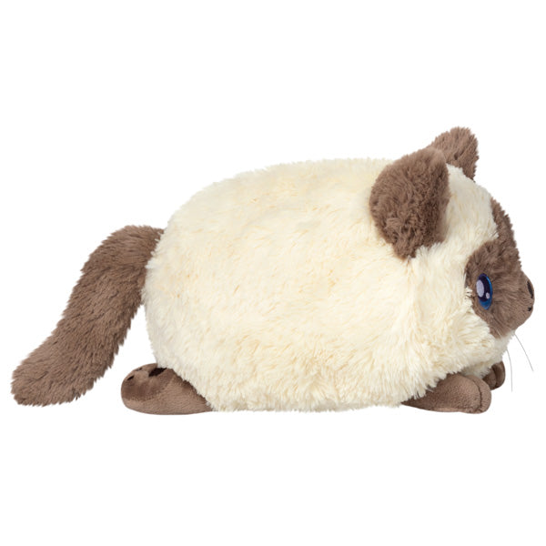 Adorable 11 - Mini Squishable Colorpoint Kitty